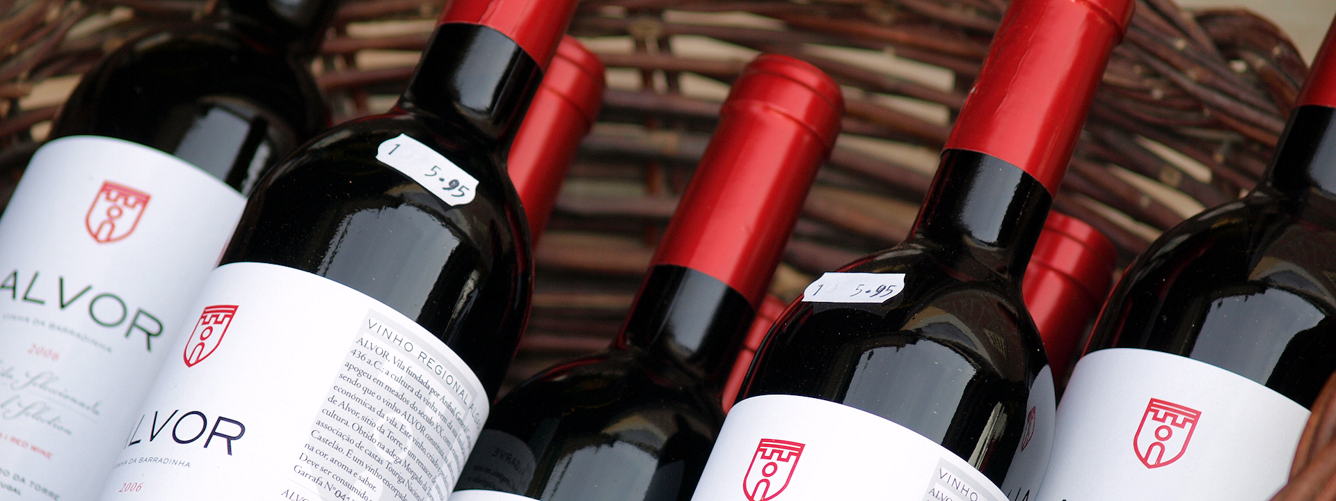 Create Without Limits