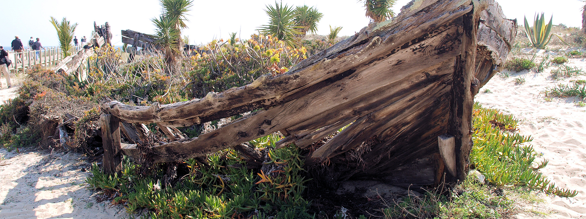 Create Without Limits