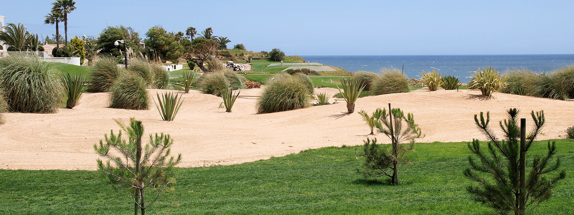 Create Without Limits